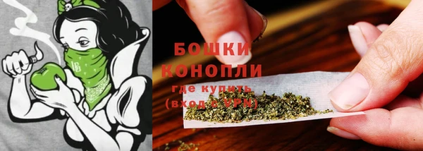 ПСИЛОЦИБИНОВЫЕ ГРИБЫ Абаза