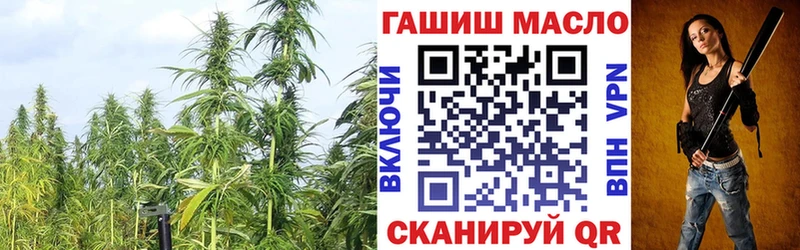 продажа наркотиков  Киселёвск  ОМГ ОМГ сайт  Дистиллят ТГК гашишное масло 